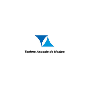 Techno Associe de Mexico, S.A. de C.V.